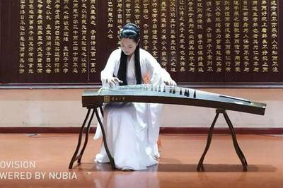 第八屆中國(國際)器樂文化藝術節南陽站演出活動圓滿舉行，助推文化藝術交流新篇章