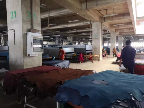 互聯網服務賦能皮革行業 從中國皮革展看未來發展